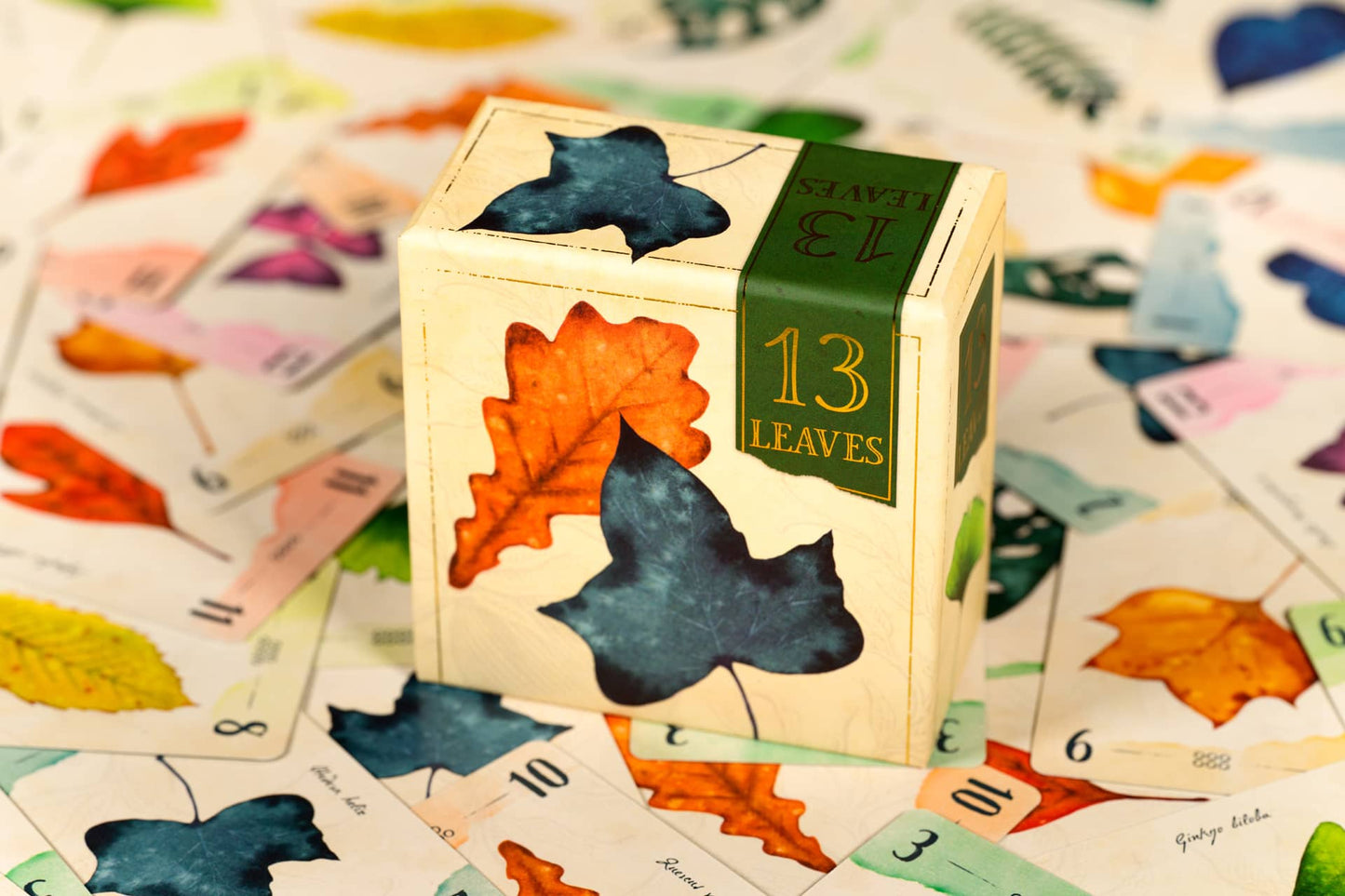 13 Leaves