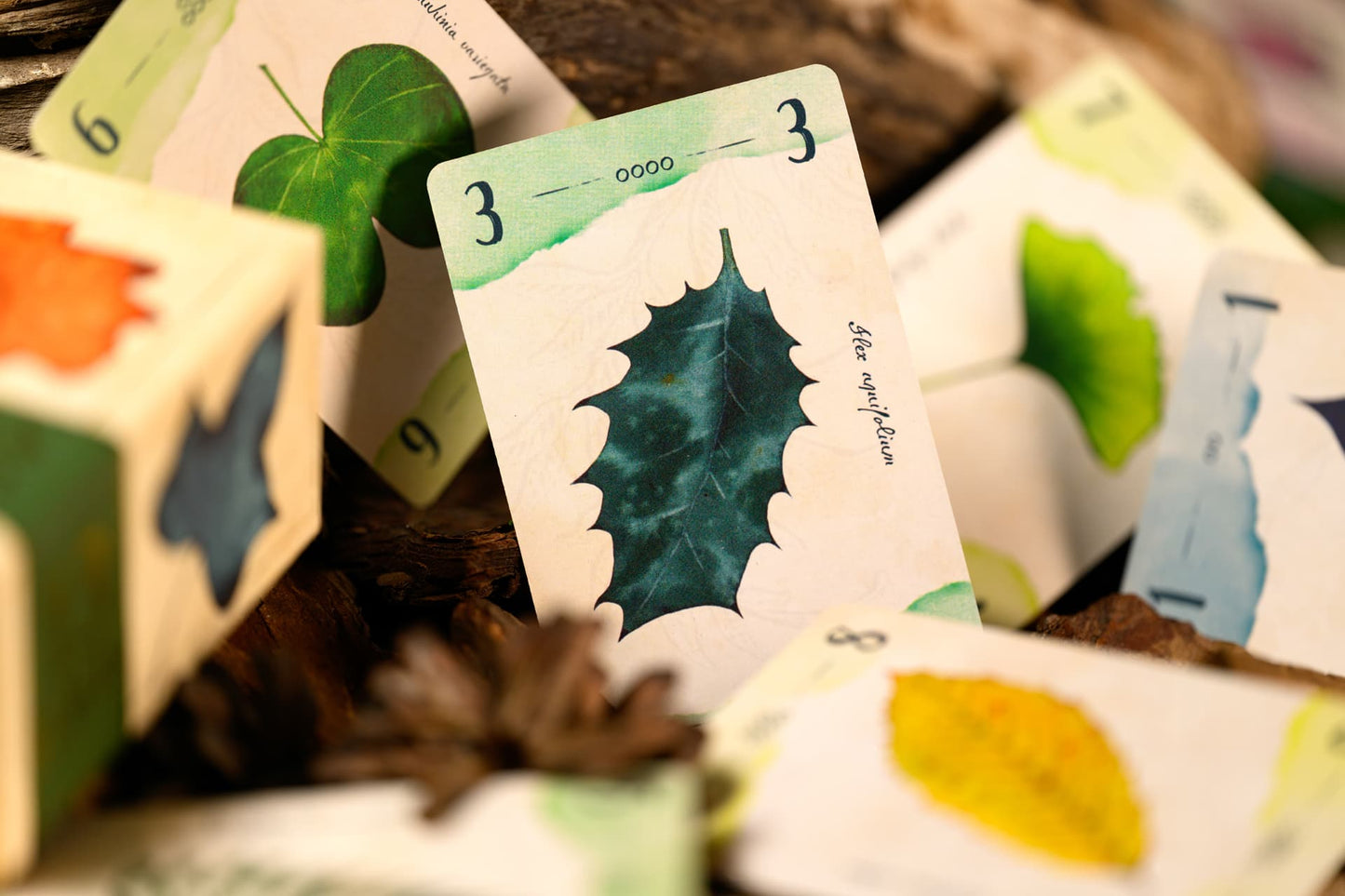 13 Leaves