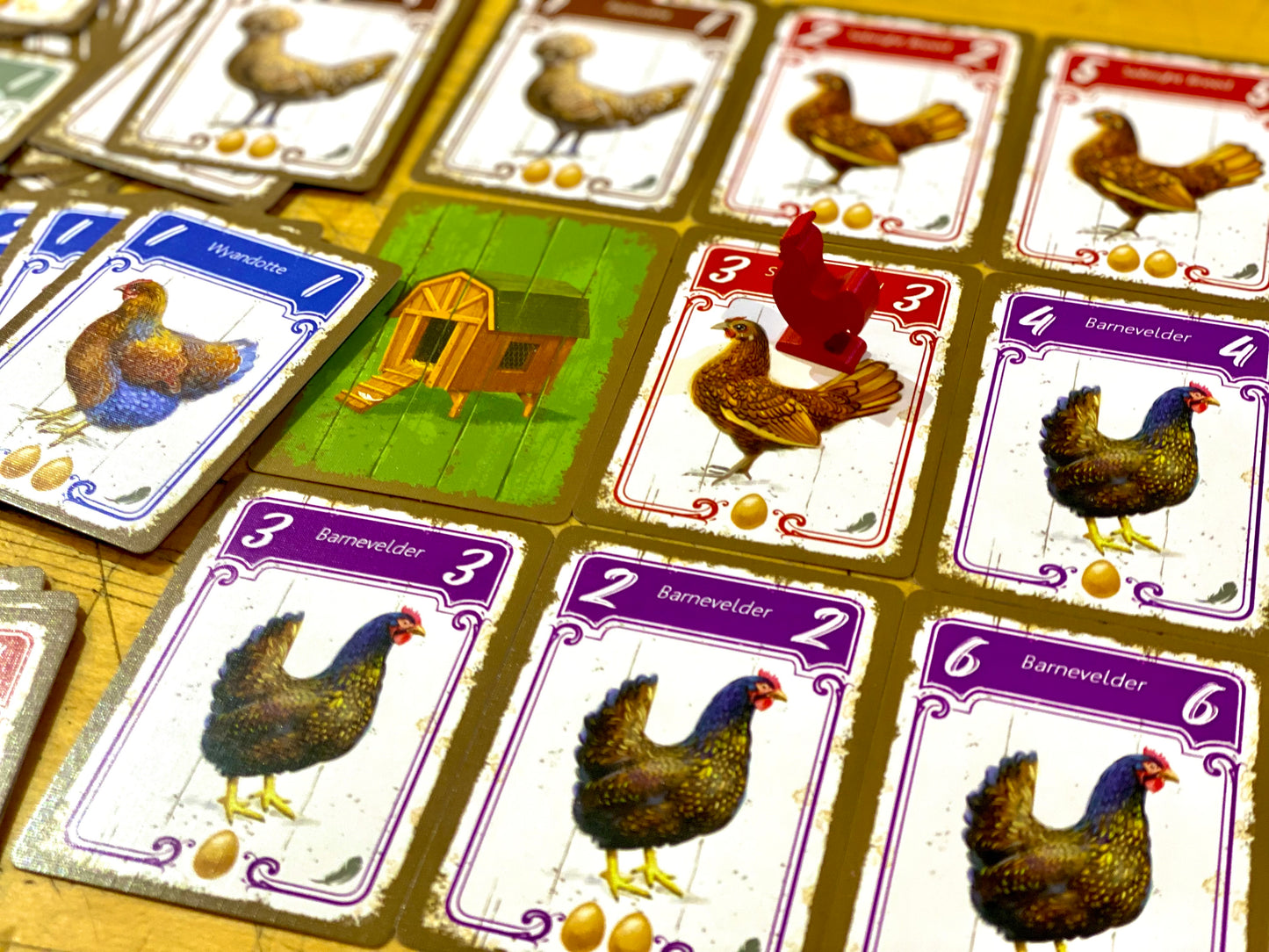 Hens