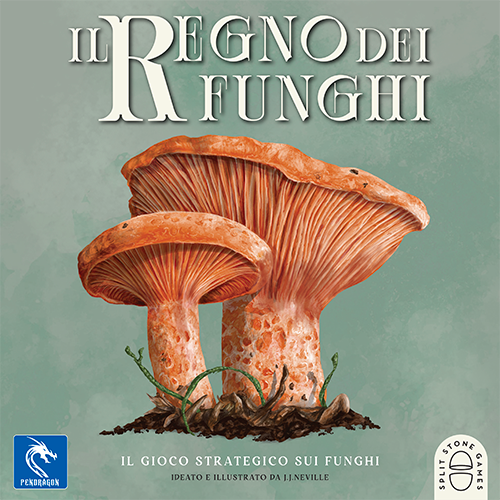 The Mushroom Kingdom