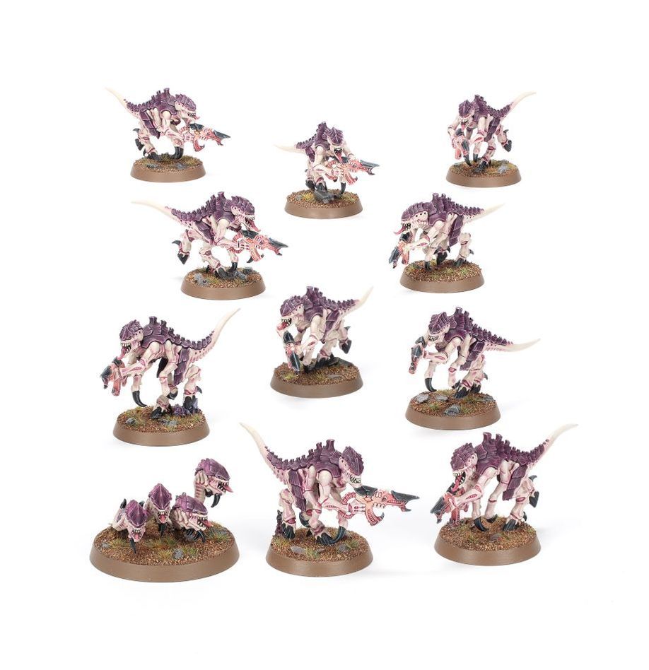 Warhammer 40K - Introductory Set (Inglese)