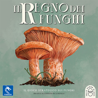 The Mushroom Kingdom