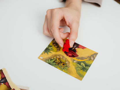 Lost in Adventure: La Maledizione di Jack Parrot